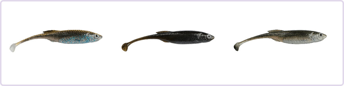 PowerBait® Drip Swimmer Clear water lure selection