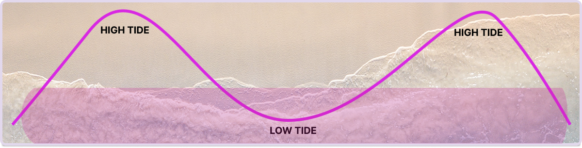 Best time to beach fish is low tide