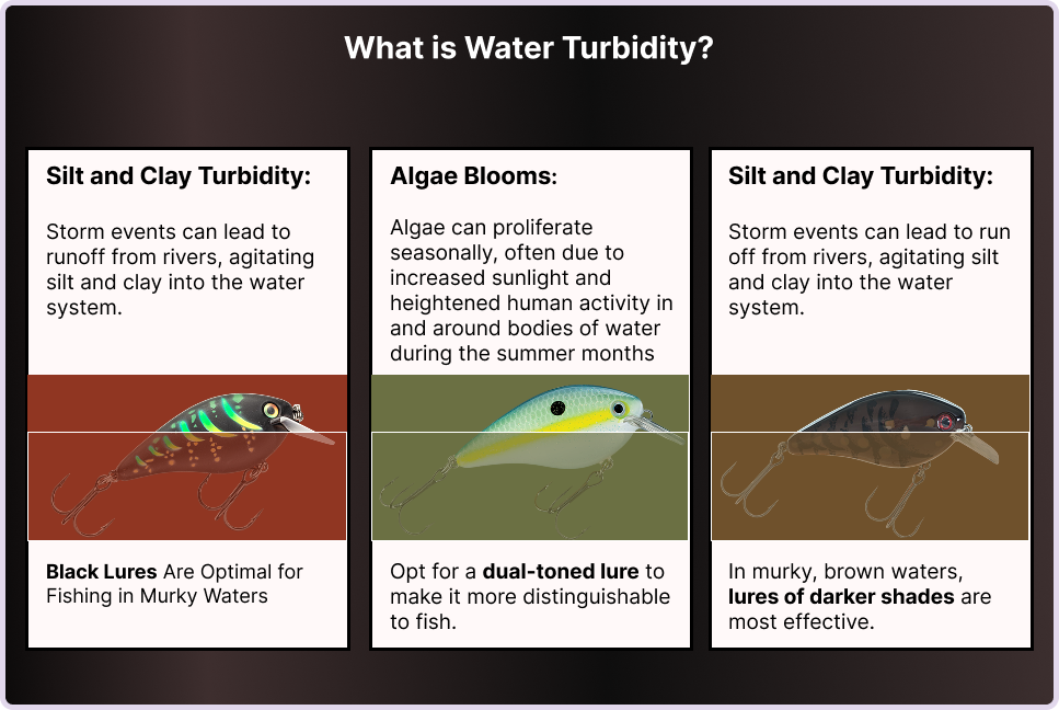 What is Water turbidity?
